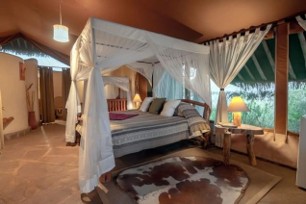 Tanzania - Arusha Safari Tour Guide