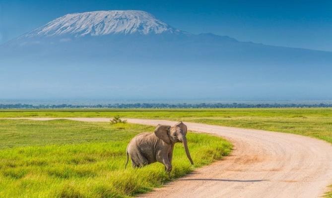 Amboseli National Park | Classic Guided Safaris